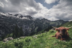 九游娱乐APP-中国足球国家队重视对抗节奏与攻防转换效率，中国对足球的重视程度