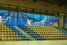 -澳大利亚队未来如何利用青训体系打造新一代乒乓巨星，澳大利亚乒乓球