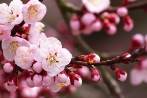 JIU YOU GAME-体育公益项目助力乡村发展，体育公益活动