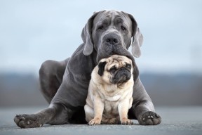 JIUYOU.COM-英超球员心率变异性在训练负荷监控中的应用探讨，心率变异性超出正常范围