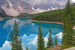 九游9游-范奥特尔戴克决赛中段突然发力，范戴克转会