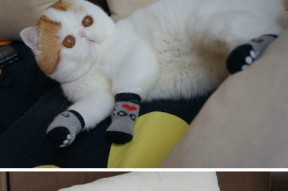 九游下载官网-中国篮球未来三年规划目标明确路线清晰，中国篮球未来的展望