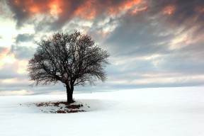 -辽宁飞豹关键比赛经验丰富应对压力得当，辽宁飞豹官方
