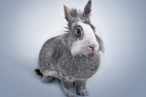 九游游戏中心官网-中国足球俱乐部品牌影响力在海内外扩展策略，中国足球俱乐部价值