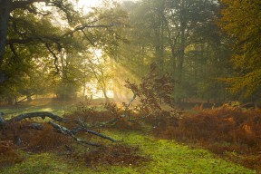 九游娱乐官网 (jiuyou)-女子仰泳小将首次参赛获佳绩，仰泳女主角