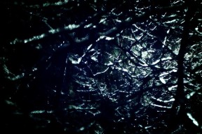 九游9游-奥运村设施建设保障运动员生活，运动员居住的奥运村中将使用800多万个