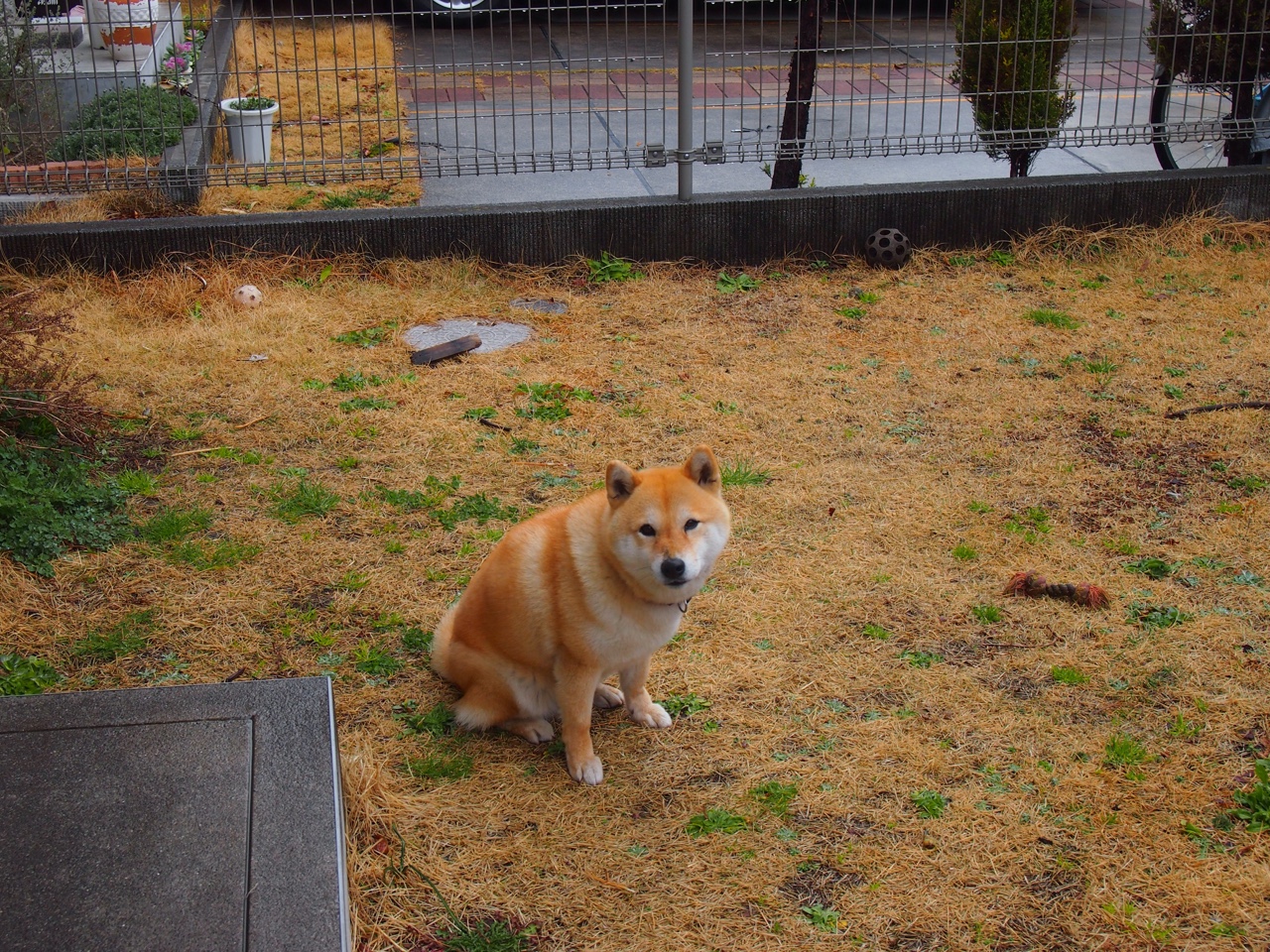 中国篮球教练员团队协作与沟通效率提升方法,篮球教练员在团队中扮演了哪些角色