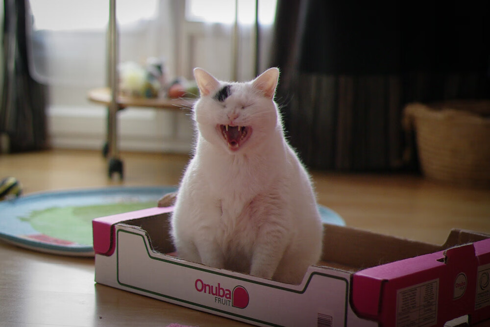 中国足球后腰组织能力评分排名,国足后腰球员