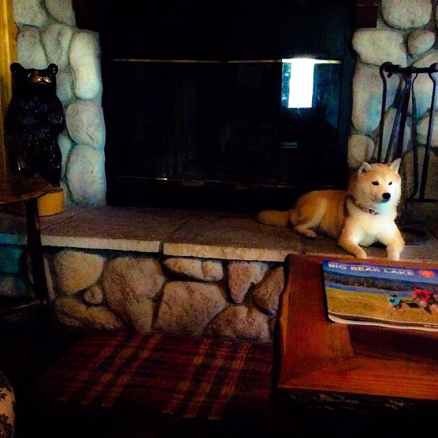 归来巨星:退役球员重新登场的精彩瞬间,退役球员复出