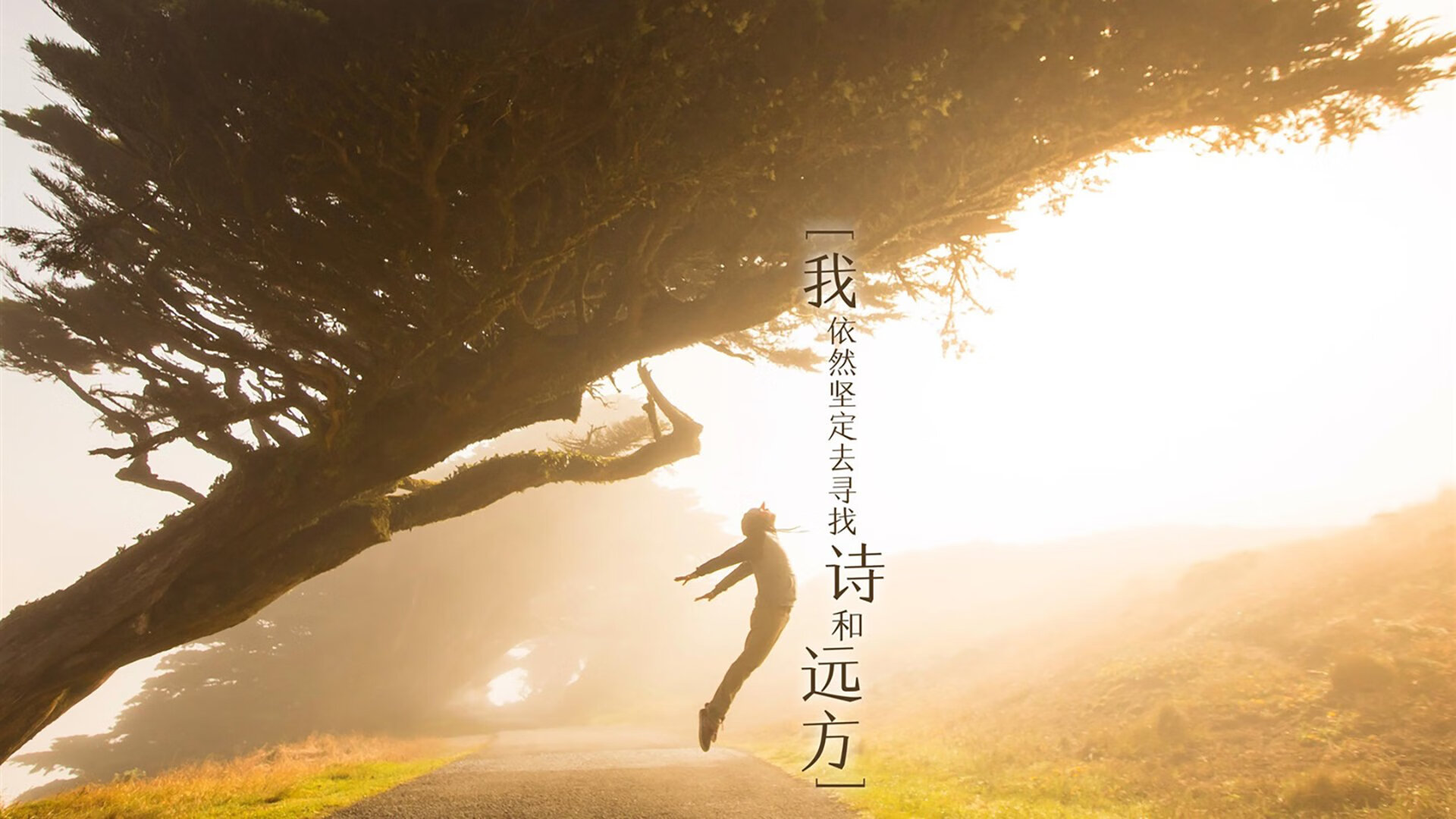 青少年运动兴趣培养策略,青少年运动训练长期规划与计划实施