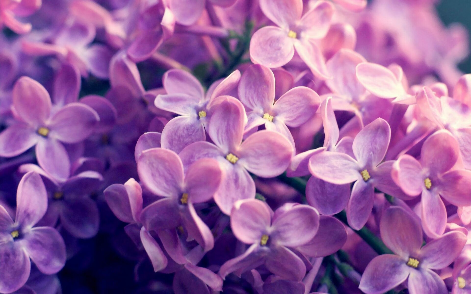 足球社交媒体运营能力不足,足球媒体可信度排名懂球帝