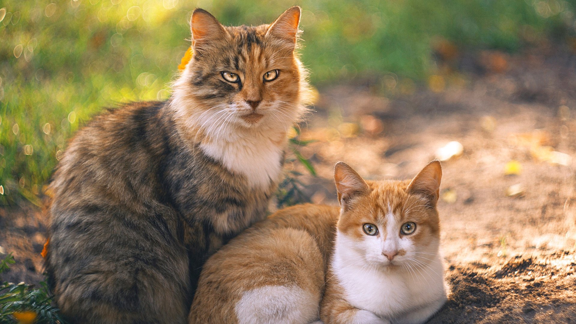 马洛卡以防反为主打出高效推进节奏,马卡洛夫式