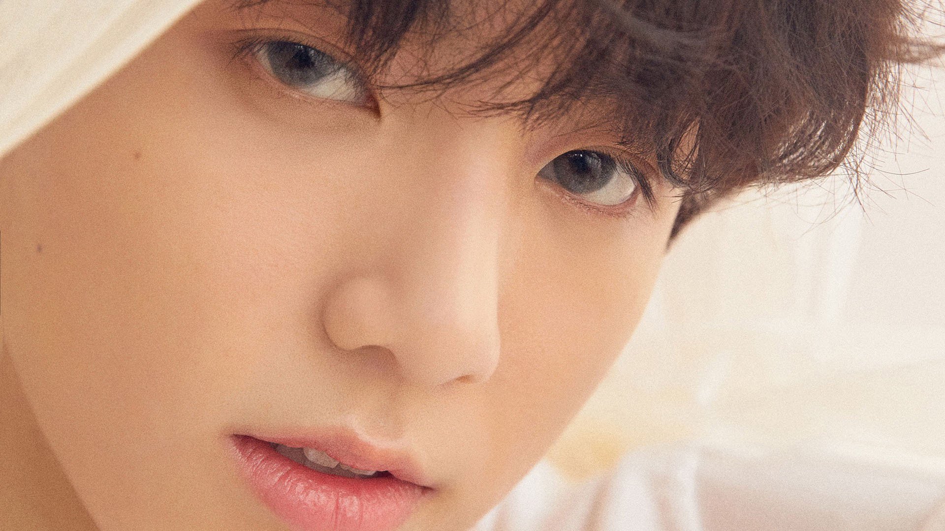 世界杯战场激情:每一秒都令人生畏的对抗,世界杯片段