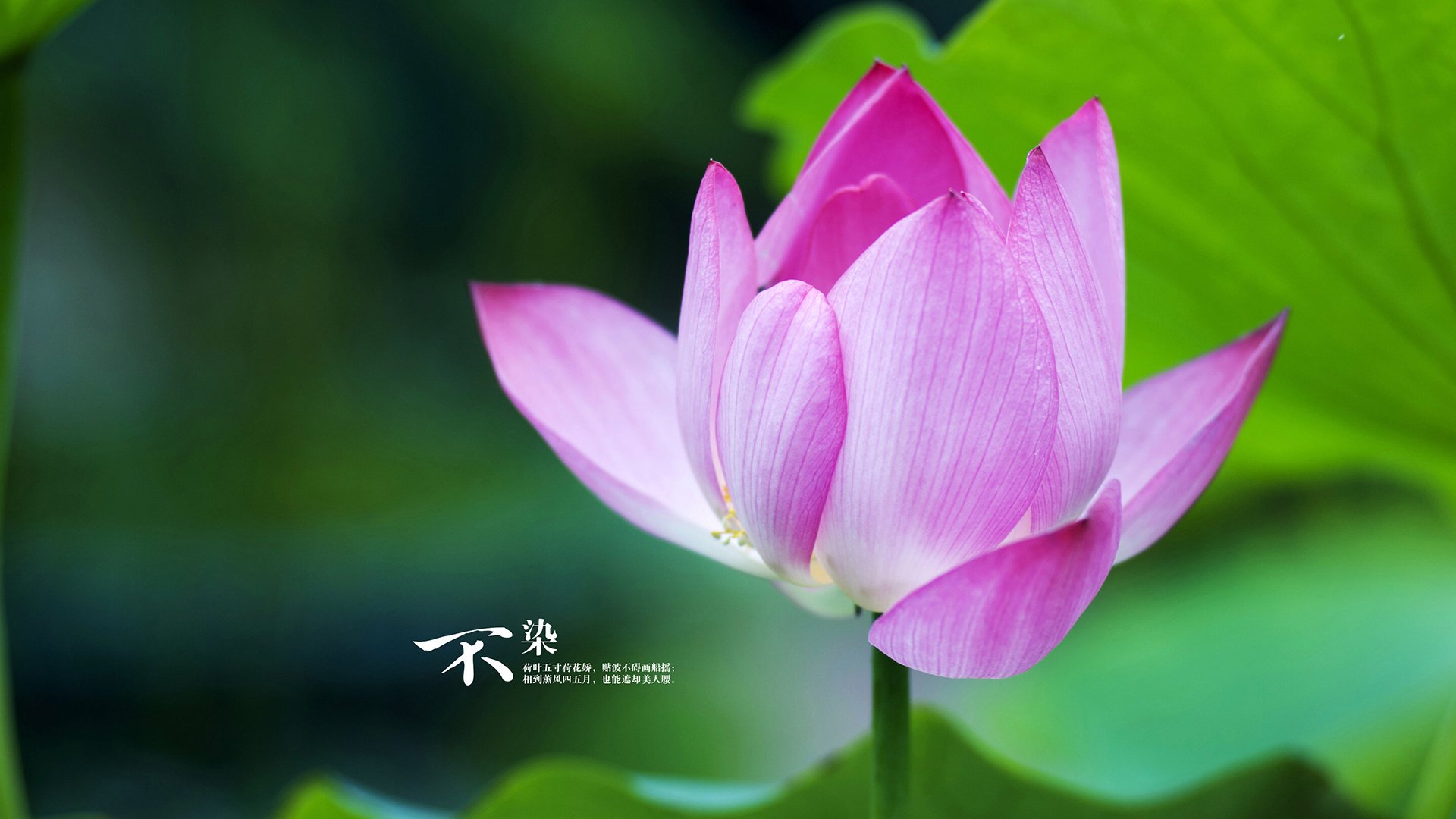 全国篮球技能挑战赛落幕多位新星崭露头角引发关注,全国运动技能测试专家评审委员会篮球