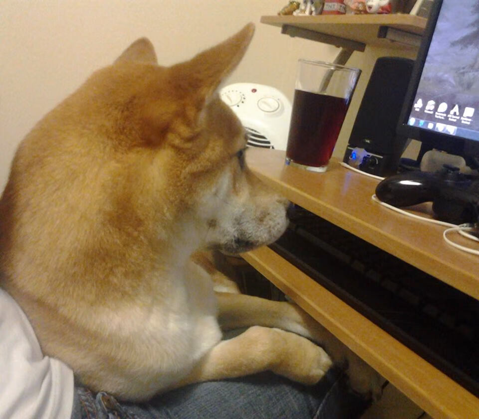 加拿大女篮在国际赛场上表现出色,迅速崛起,加拿大女子篮球