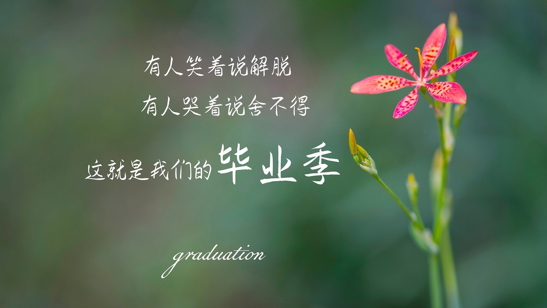 欧洲杯决战:最后一刻的英雄闪耀全场,欧洲杯决赛最后一场