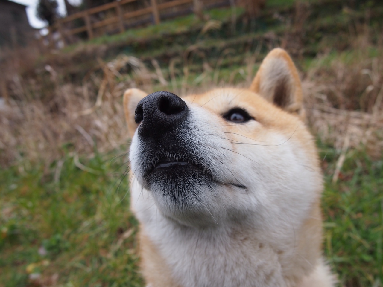 篮球青训项目与国际接轨提升整体培养标准,篮球 青训