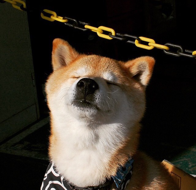 中国足球联赛中球员比赛后恢复设施与康复流程标准,足球运动员恢复治疗