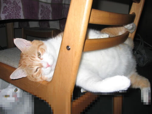 中国足球运动员技术动作训练，职业足球运动员训练